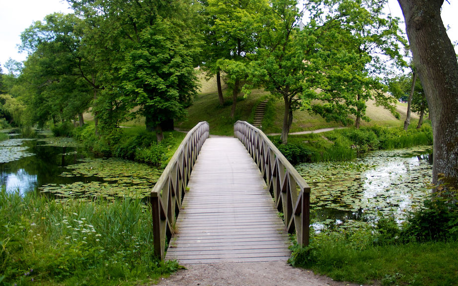 Naturbro på volden