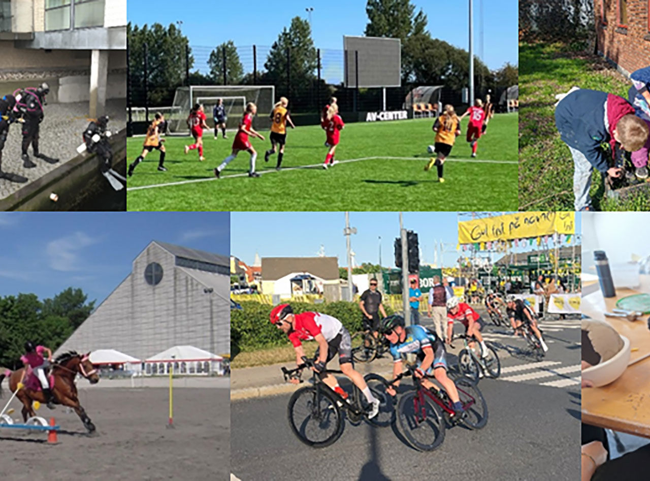Billedcollage fra Fritids- og Idrætspolitikken