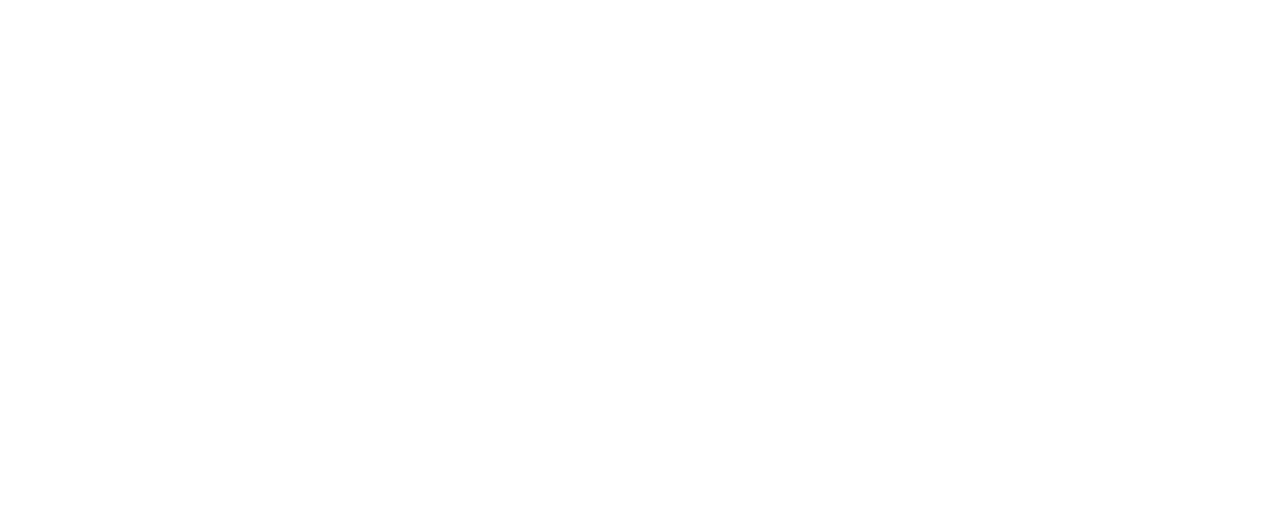 Logo i hvid med navnetræk