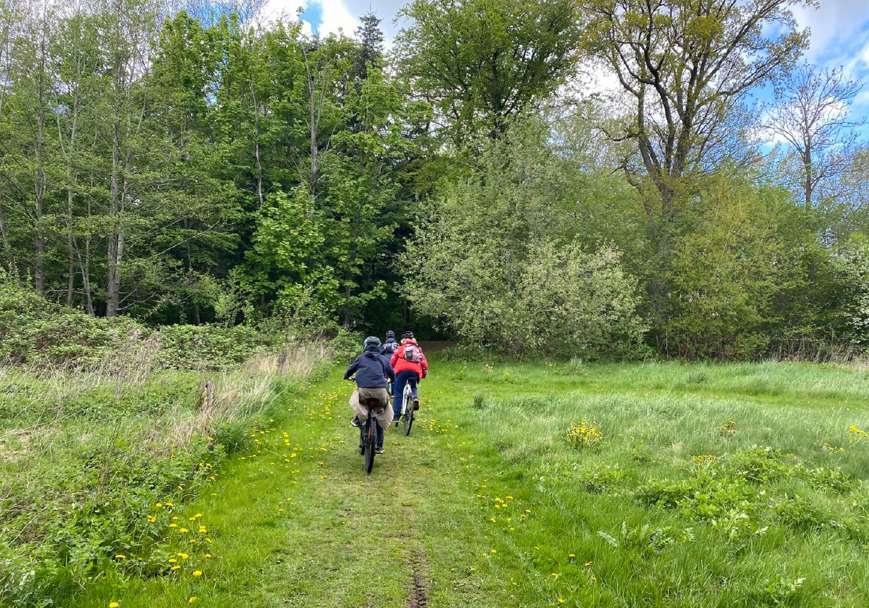 Grønne arealer i Ullerslev // Foto: Nyborg Kommune