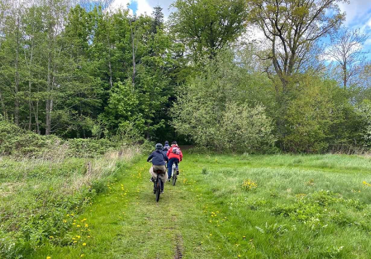 Grønne arealer i Ullerslev // Foto: Nyborg Kommune
