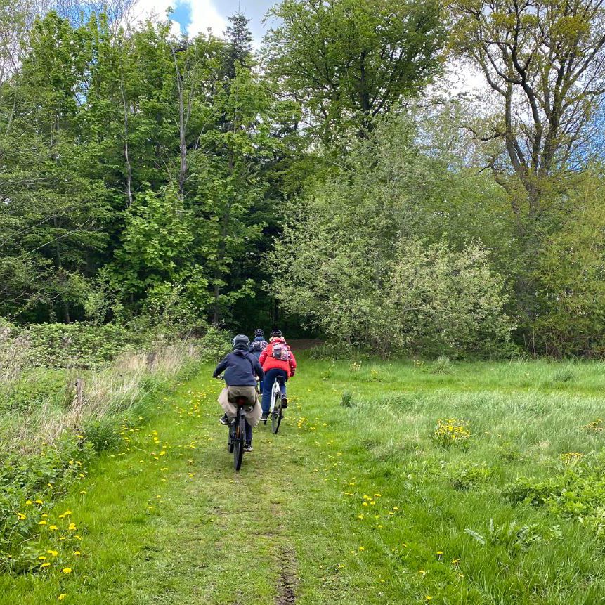 Grønne arealer i Ullerslev // Foto: Nyborg Kommune