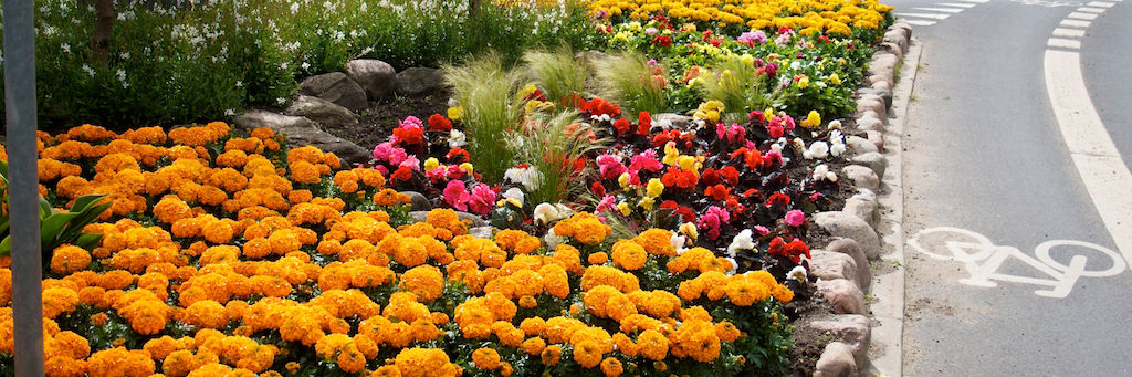 Smukt blomsterbed i Nyborg