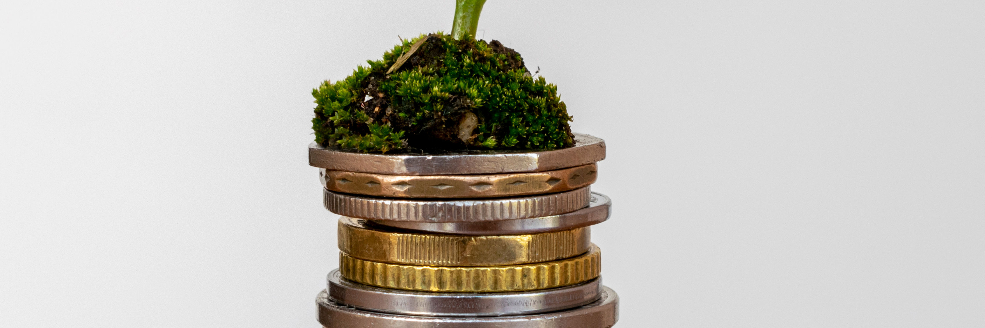 Mønter og plante