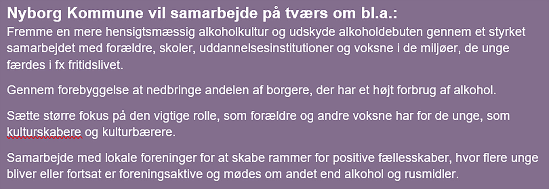 Tekst der forklarer, hvordan Nyborg Kommune vil arbejde på tværs med alkohol // Foto: Nyborg Kommune