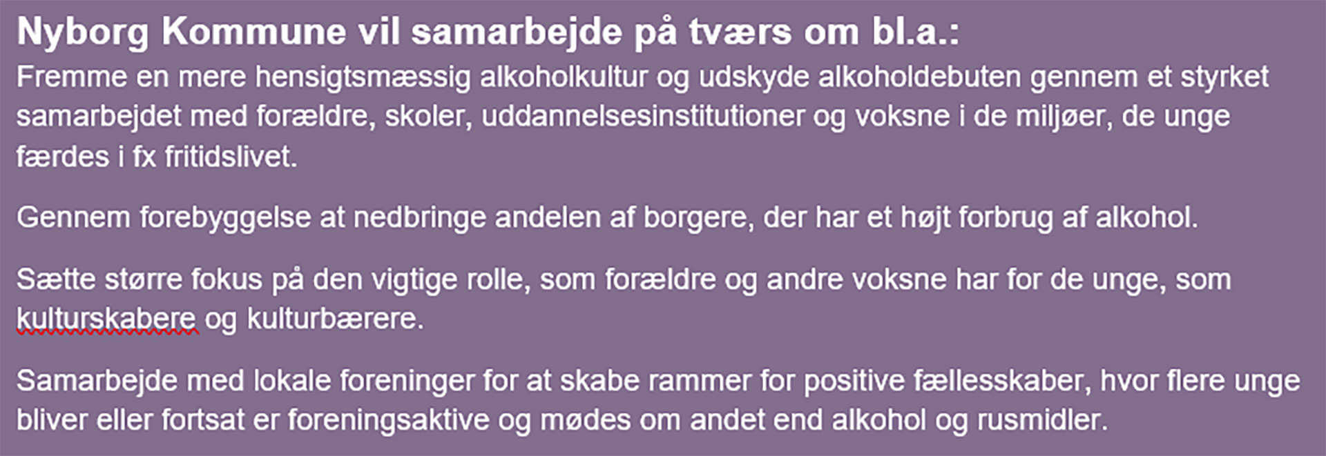 Tekst der forklarer, hvordan Nyborg Kommune vil arbejde på tværs med alkohol // Foto: Nyborg Kommune