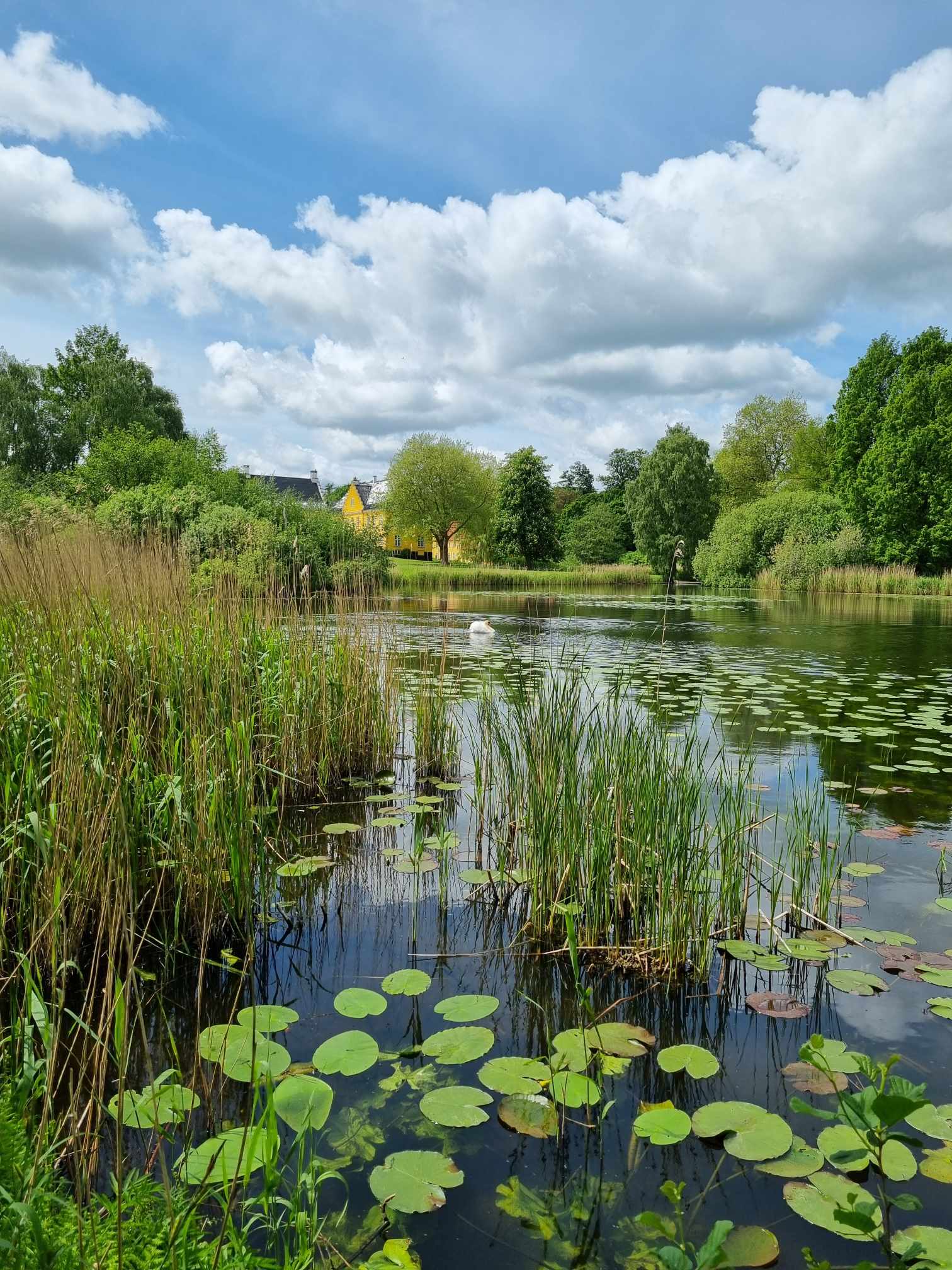 Åkander ved Lykkesholm Slot