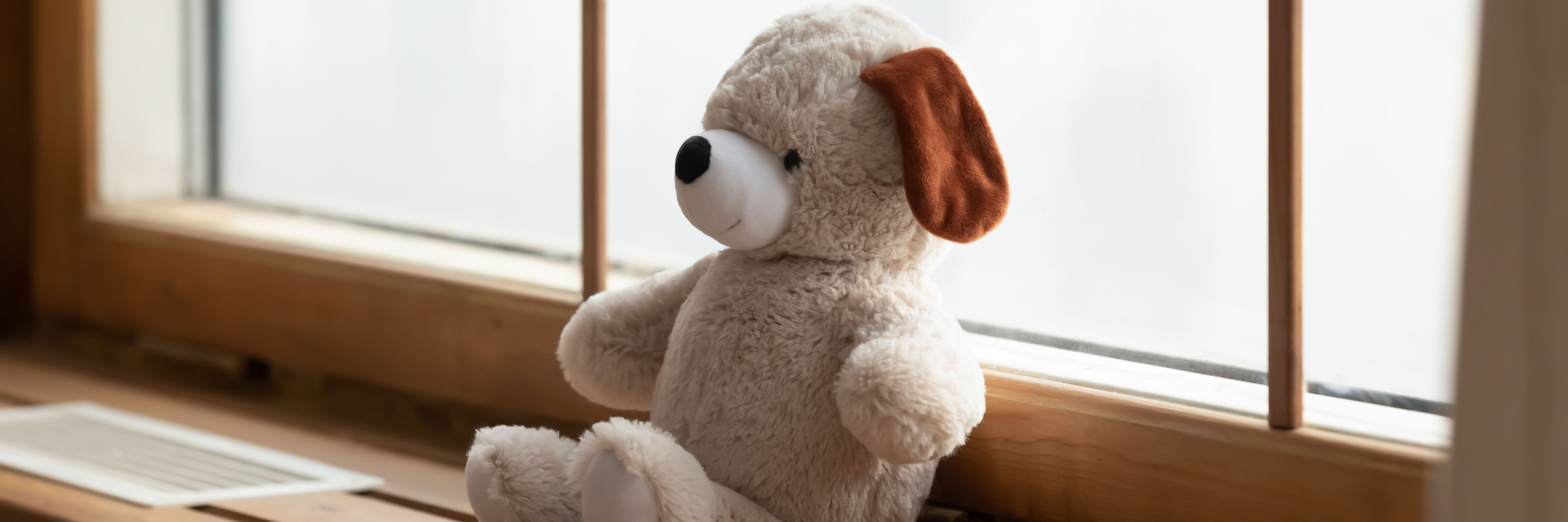 Bamse i vindueskarm