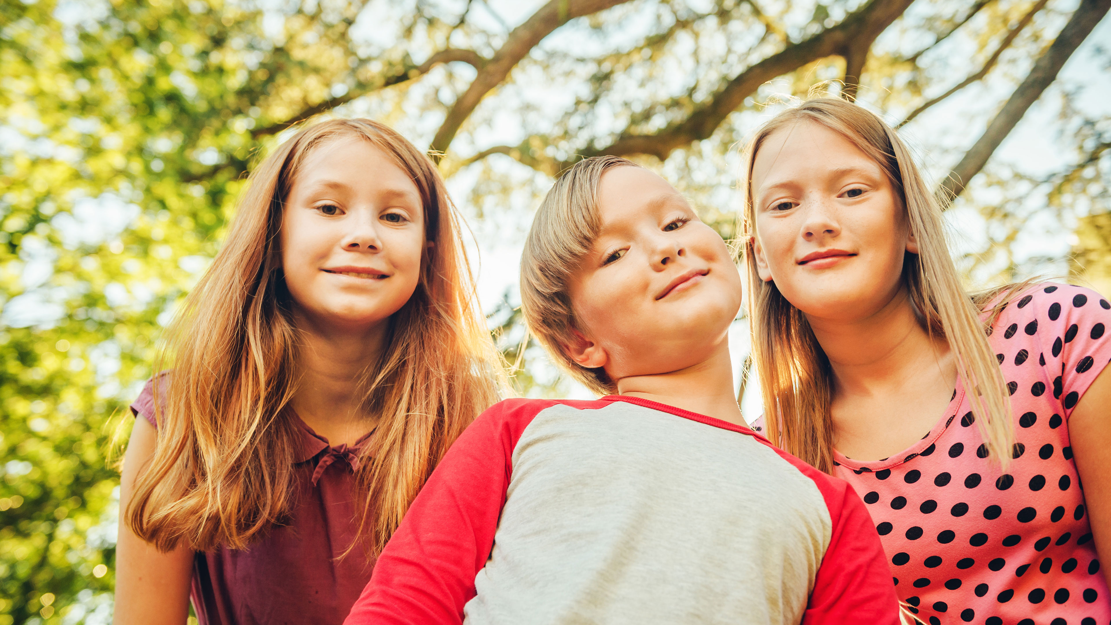 Tre børn med træ og solsikn i baggrunden / Foto: Colourbox