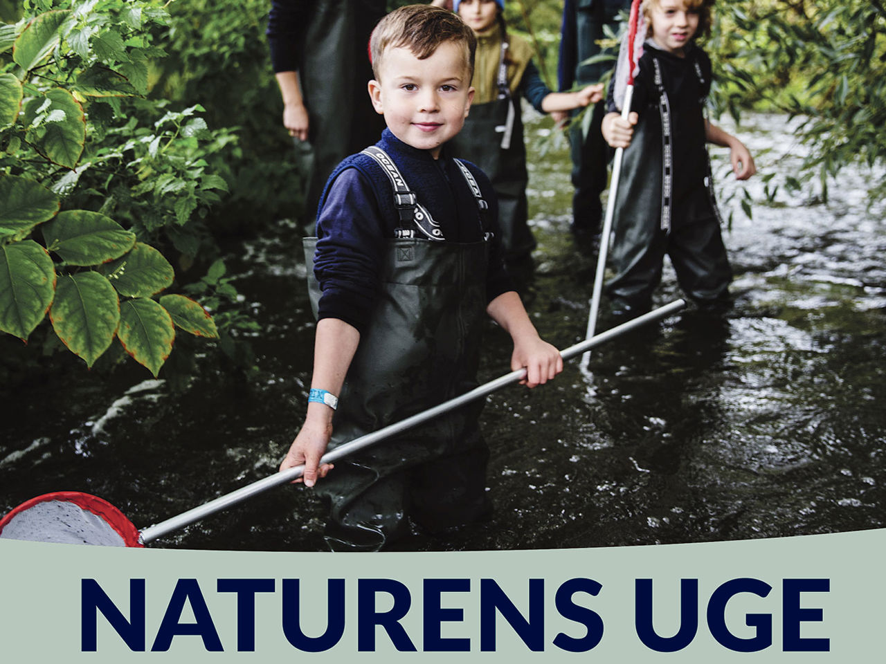 Dreng i vandløb med fiskenet