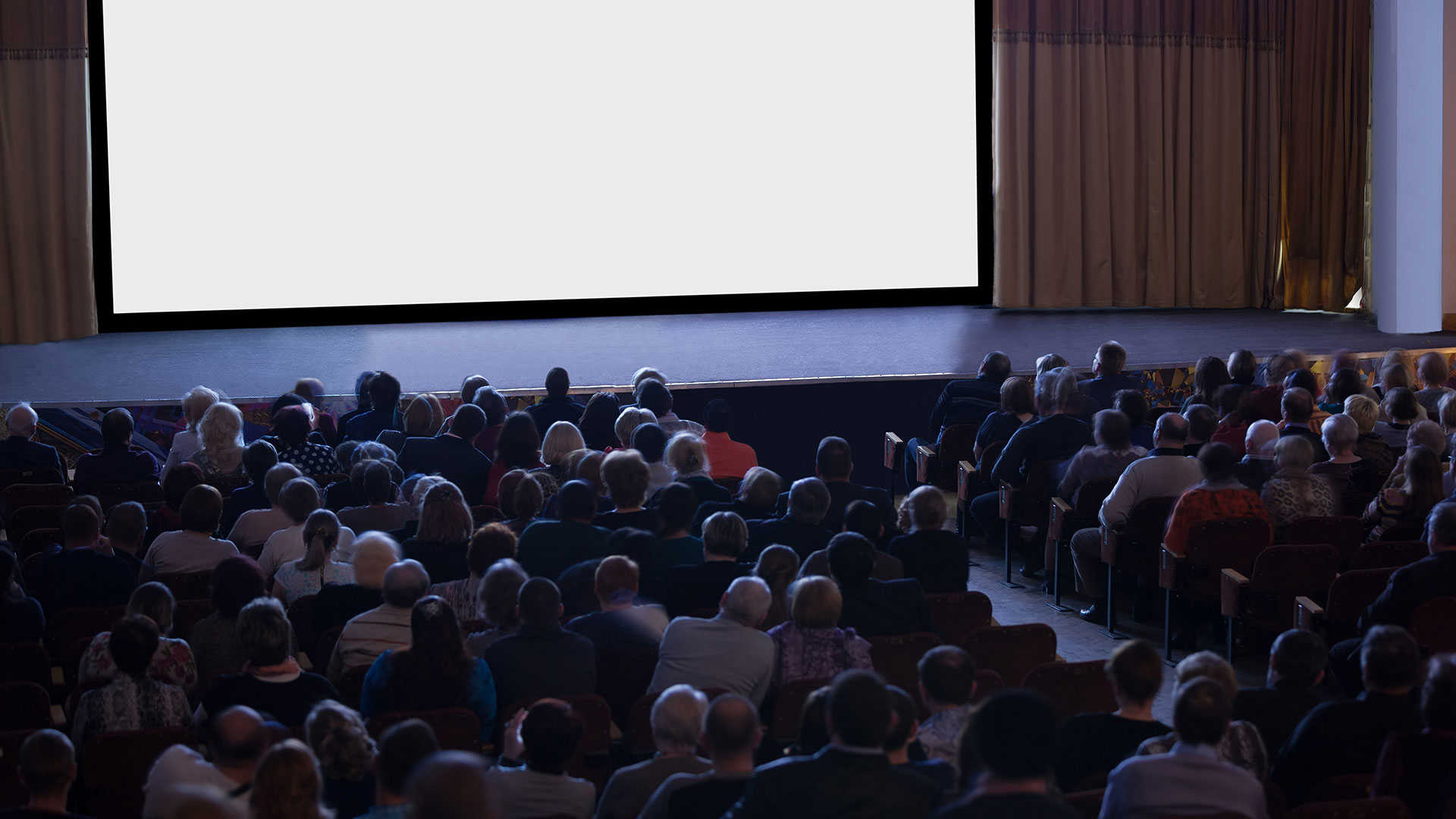 Ryggen af en masse mennesker der sidder i en biograf