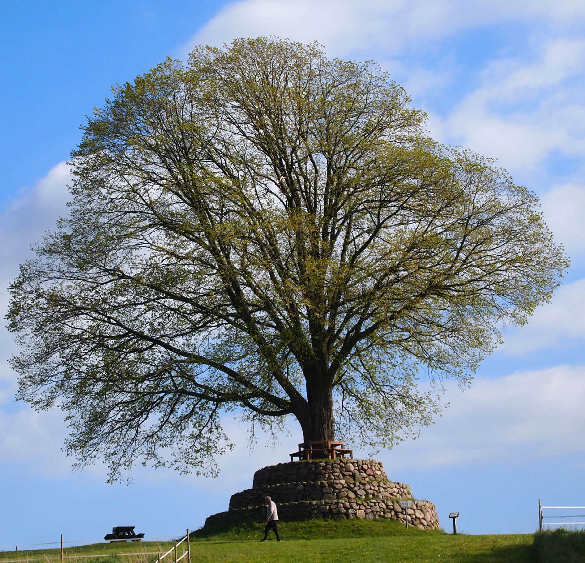 Foto: Nyborg Kommune