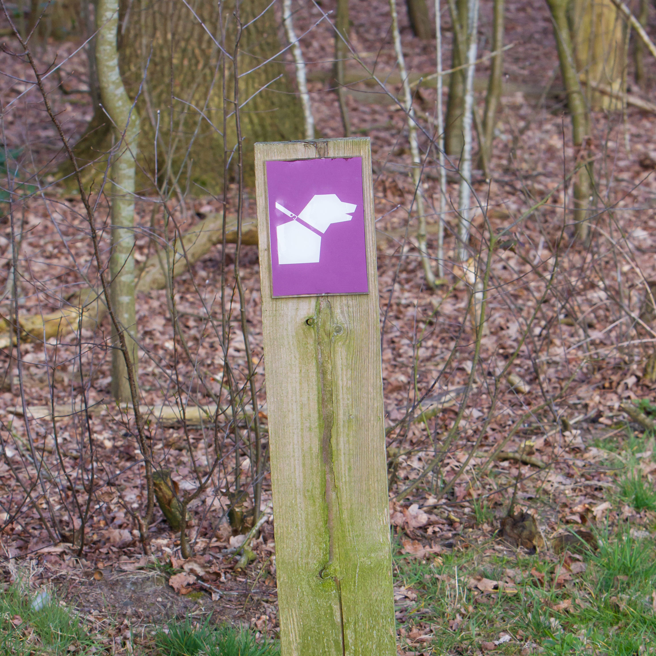 Skilt i skoven