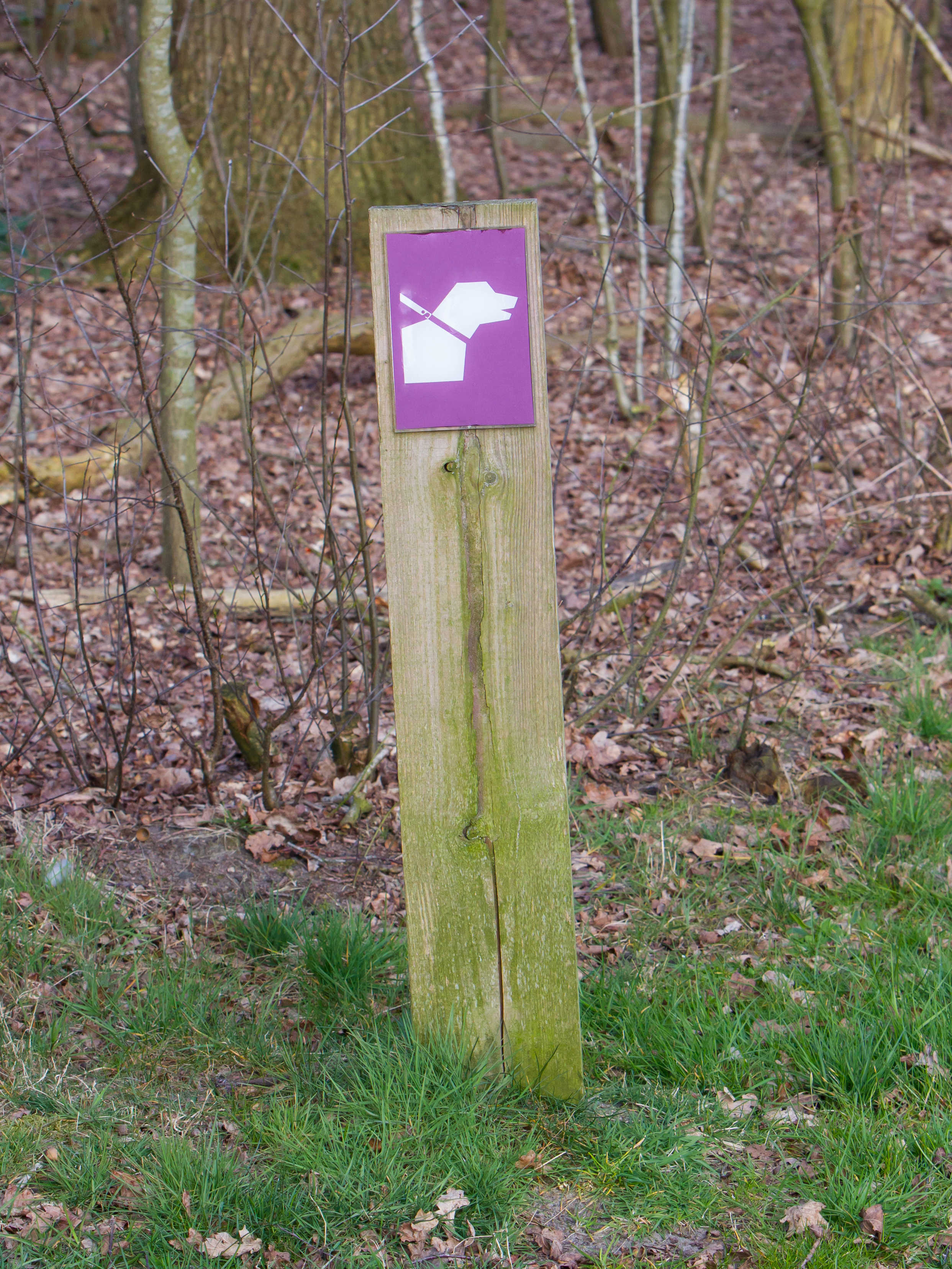 Skilt i skoven
