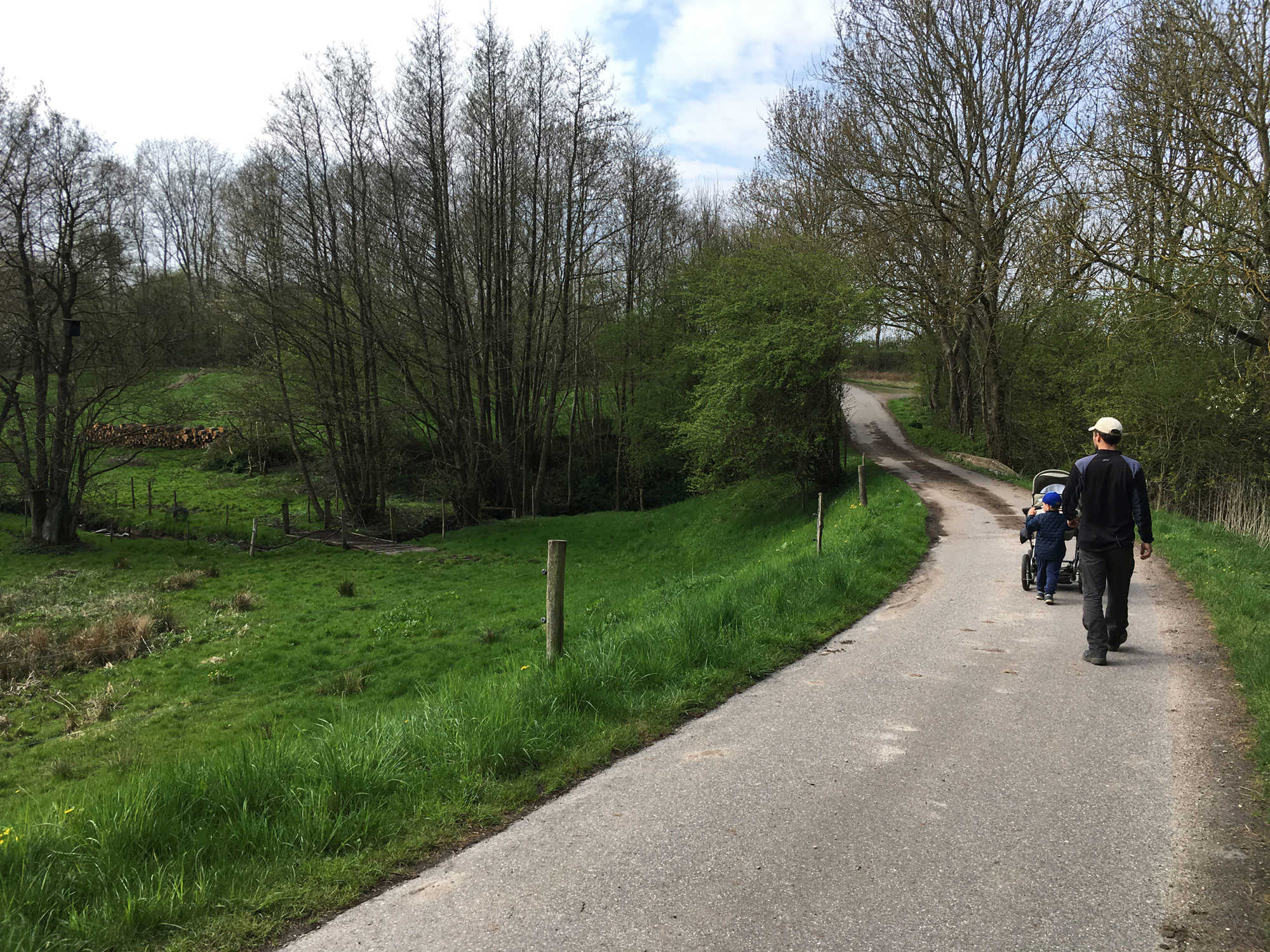 Natur og grønne marker i Kogsbølle
