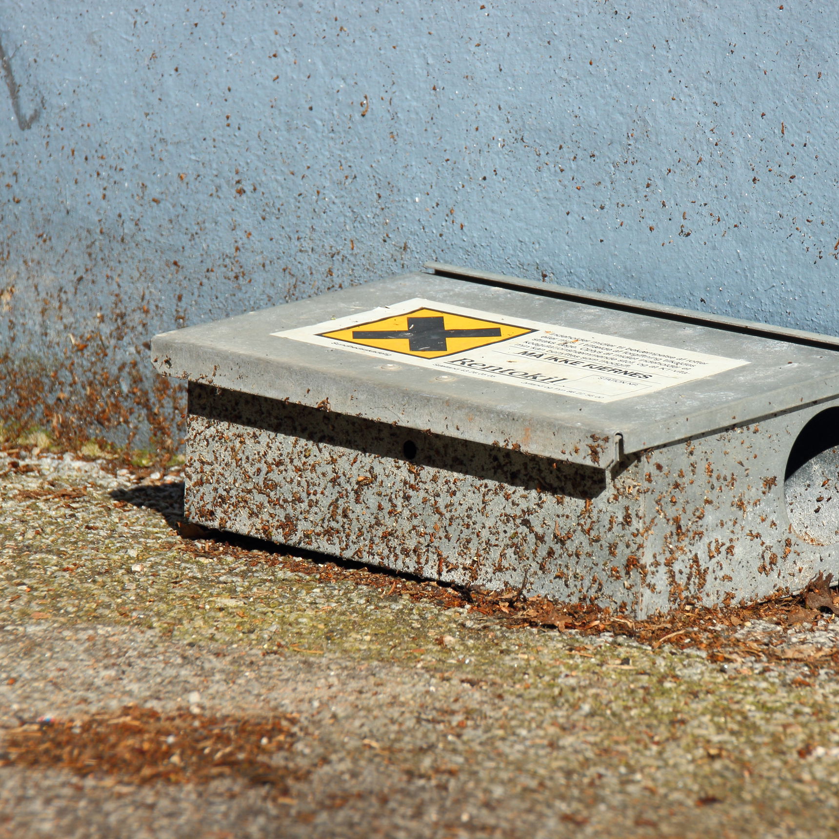 Skadedyrsbekæmpelse