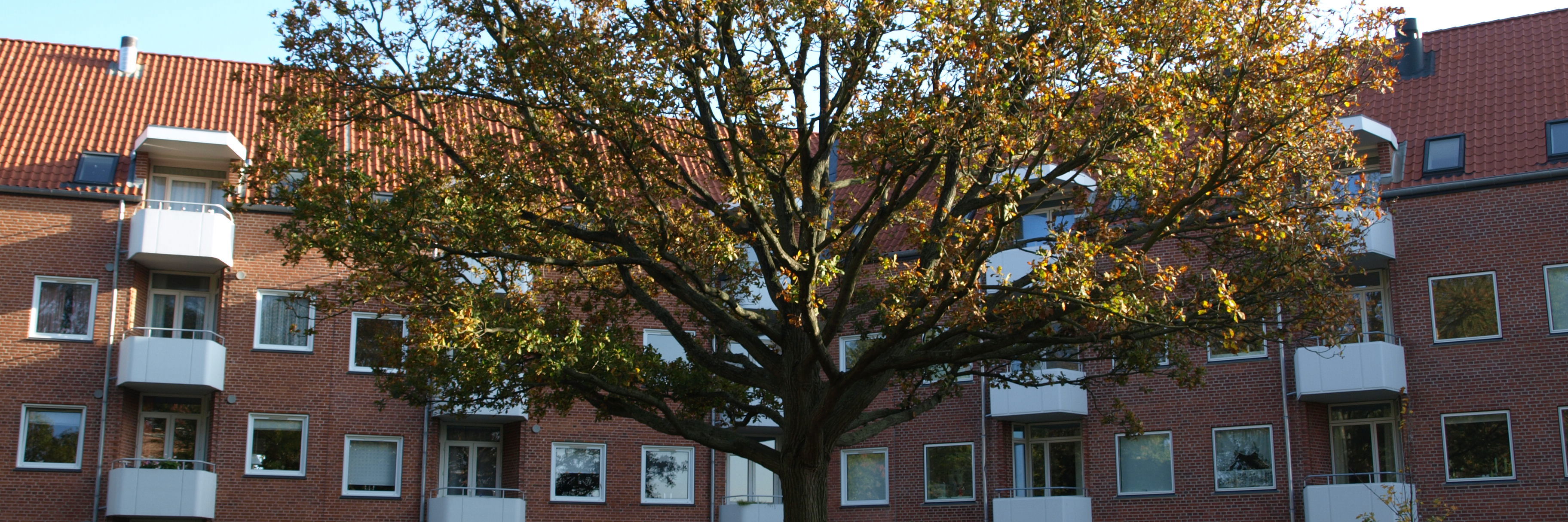 Lejligheder