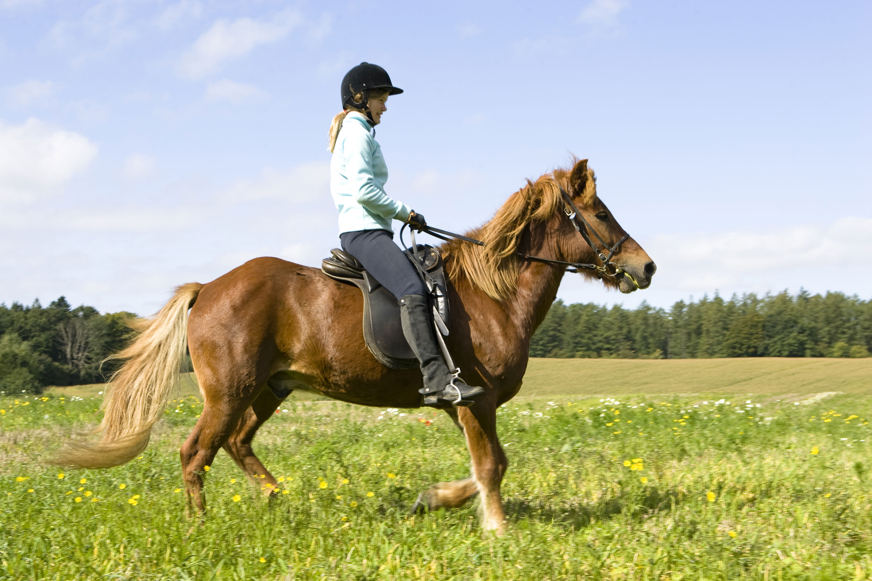 Pige der ridder på en hest